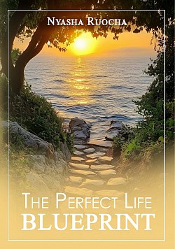 THE PERFECT LIFE BLUEPRINT